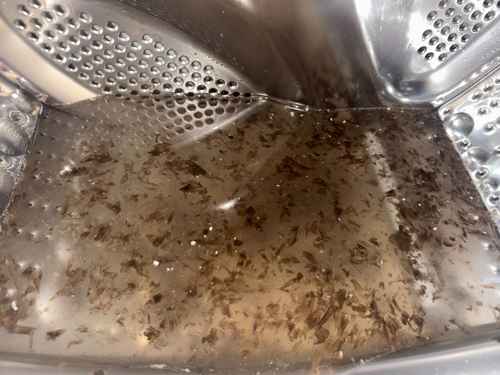 歐陽太太的紫菜碎屑煩惱：清洗專員破解這部LG前置式洗衣機🦠