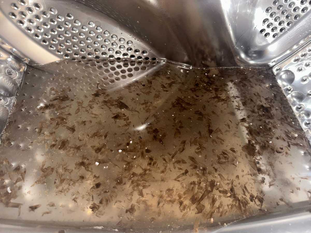 歐陽太太的紫菜碎屑煩惱：清洗專員破解這部LG前置式洗衣機🦠