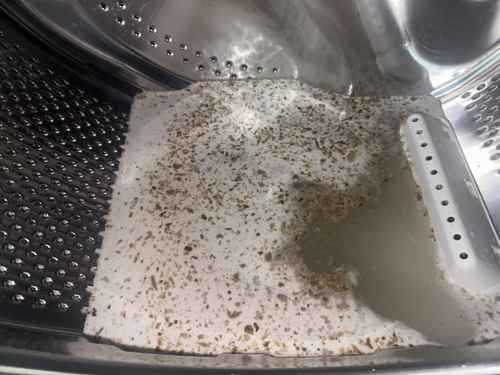 新家入住才發現黑點，清洗專員用高壓水槍還原這部Indesit前置式洗衣機🧫