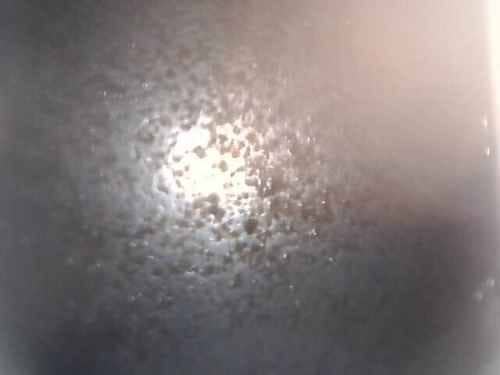 黑點揭祕：清洗專員用內窺鏡檢查這部西門子前置式二合一洗衣機🔍
