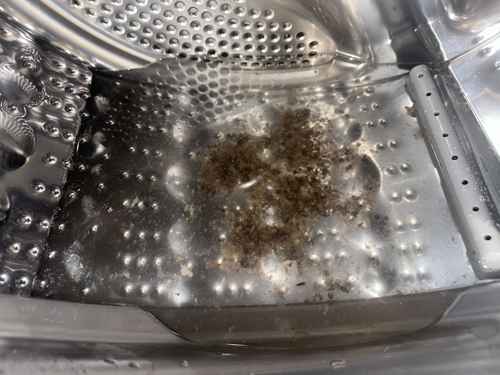 煩惱直擊：陳先生的這部LG前置式洗衣機甩不掉黑色碎屑🦠