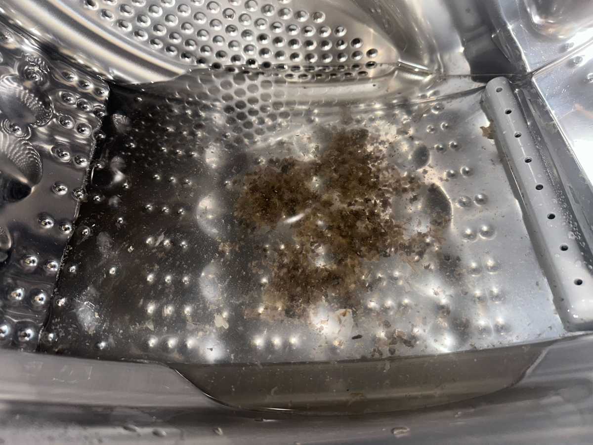 煩惱直擊：陳先生的這部LG前置式洗衣機甩不掉黑色碎屑🦠