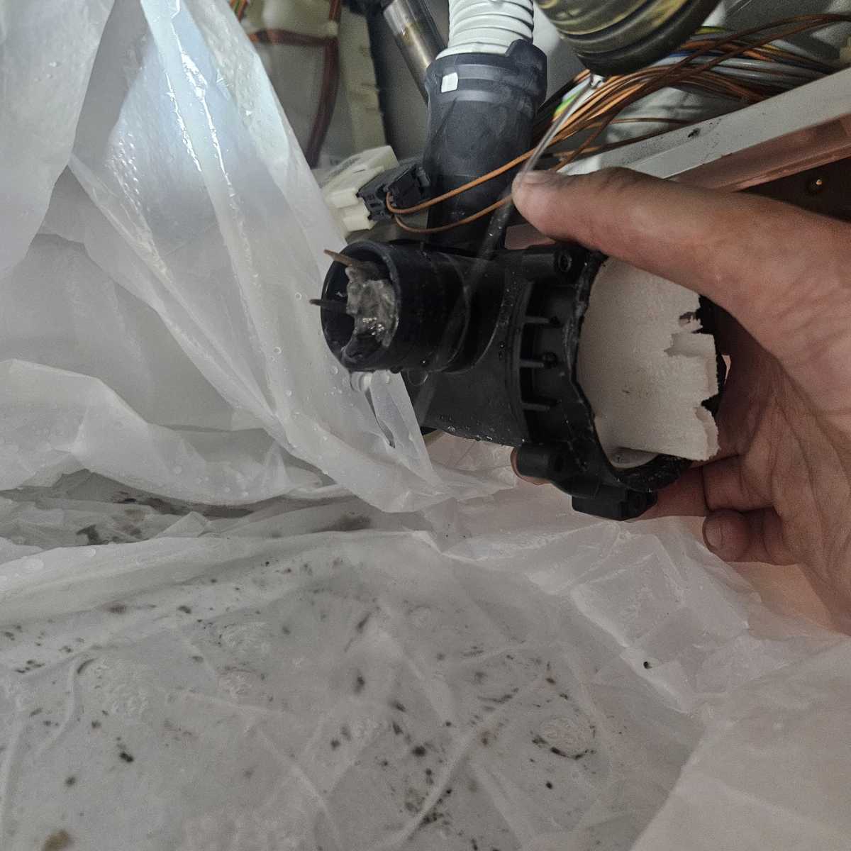 牙籤卡住排水泵！這部西門子洗衣機E36故障碼的隱藏元凶 🧐