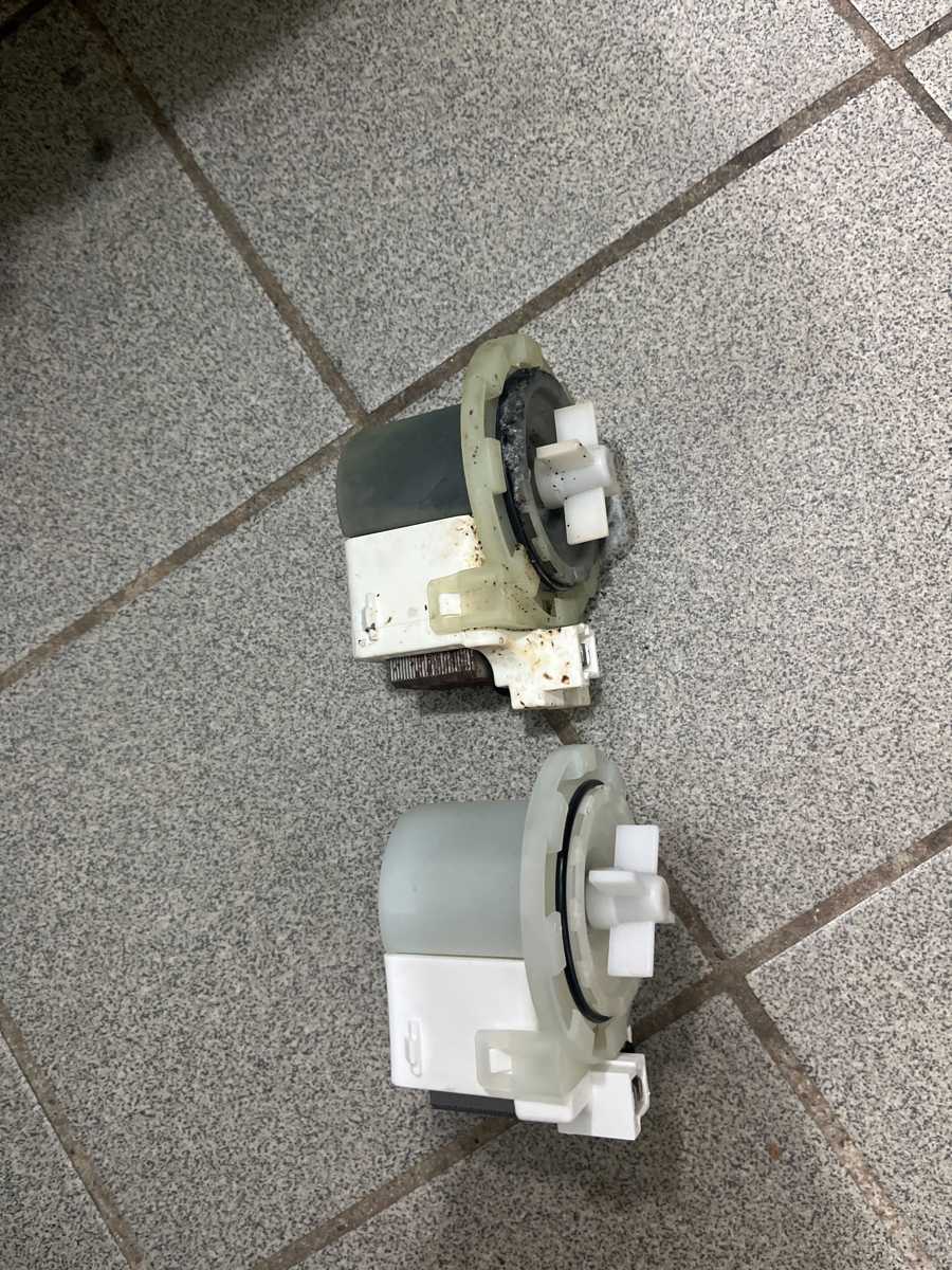 拆開排水泵驚見蟑螂殼，這部豐澤牌FW系列洗衣機修理現場 🤢