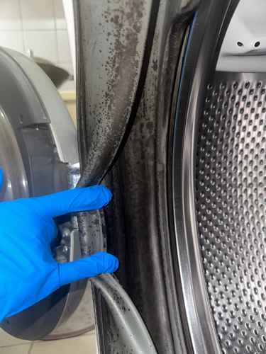 張先生的這部Whirlpool前置式洗衣機隙縫到底藏了多少陳年污垢？🔬