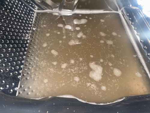 市售清潔劑難除陳垢？清洗專員現場清理這部Siemens前置式洗衣機🧽