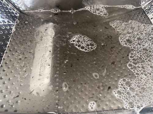 洗完衣服發現黑色點點？🦠Siemens西門子前置式洗衣機 WD14D366HK/03