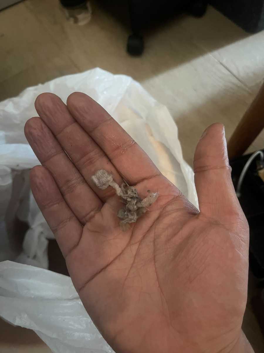 出現故障碼E06🧪Gorenje歌爾牌前置式洗衣機 WDI73121HK