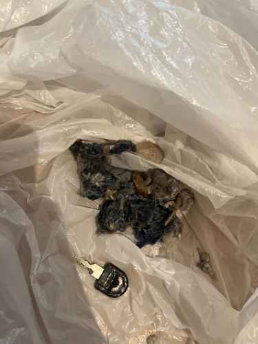 這部Rosieres RILS系列洗衣機E03過濾器暗藏異物：師傅拆解清理襪子與鎖匙 🧦