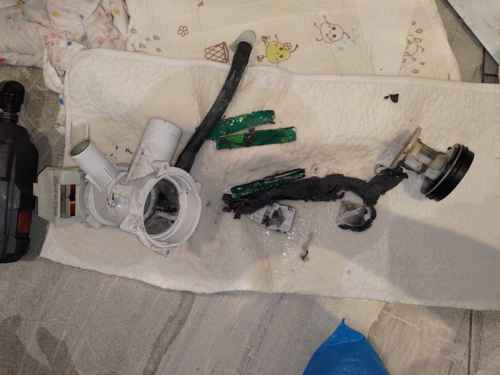 這部西門子WM系列洗衣機E06報錯 排水泵內發現居住證的清理歷程 🏠