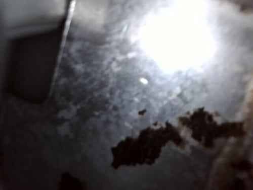 市售清潔劑都無效！連太這部Bauknecht前置式洗衣機污垢問題靠內窺鏡才找到根源 🔍