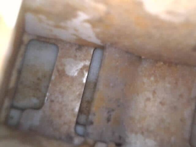 李太太以為自己的Siemens前置式洗衣機很乾淨，直到內窺鏡看見這一幕 👁️
