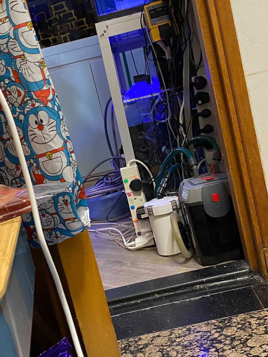 這部西門子WD系列洗衣機F18故障碼遇上魚缸噪音干擾，師傅如何巧妙診斷？🐠