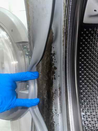 從日式轉用前置式洗衣機的困擾?張小姐這部Ariston洗衣機門膠邊霉菌解決過程 🍄