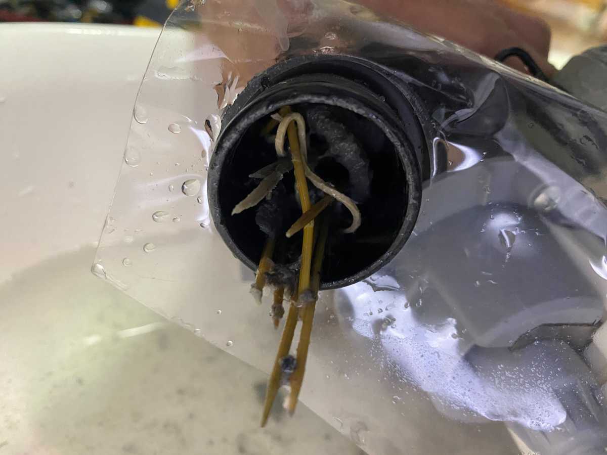 師傅拆開缸底喉發現30支牙籤！這部Candy CBWD系列洗衣機不轉不排水的真相 🪥