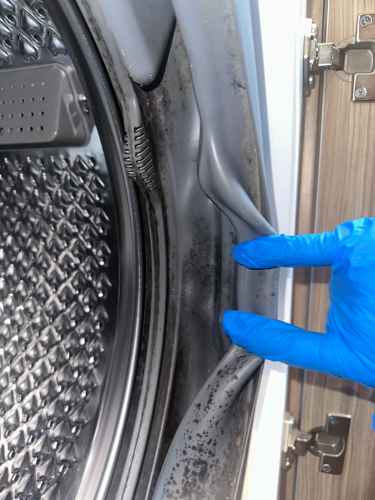 收回出租單位驚見這部De-Dietrich前置式洗衣機門膠發霉,業主決定先清洗再放租🔍