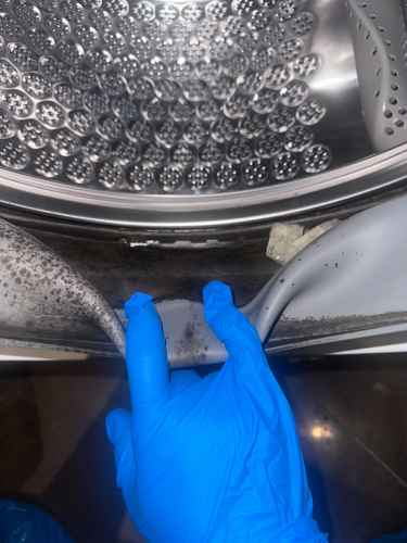 新租客入伙驚見門膠邊霉菌密佈🦠 這部Zanussi前置式洗衣機的清洗實錄