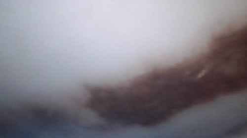 每次洗完衣服都黏黏的？原來這部Brandt上置式洗衣機內部積滿殘留物🦠