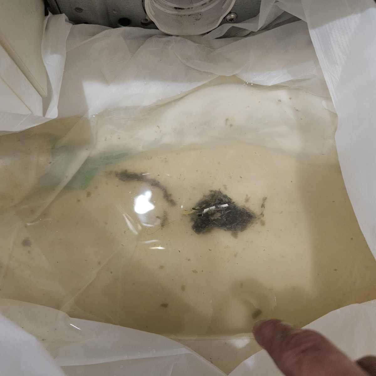 這部西門子WK系列洗衣機E06故障碼揭秘：排水喉淤塞的「啤水」清理實錄 🚿