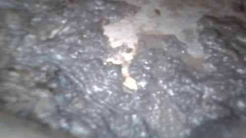 上次清洗令全屋充斥嘔心異味🤢黃小姐一年後再次鼓起勇氣清洗這部Bauknecht前置式洗衣機