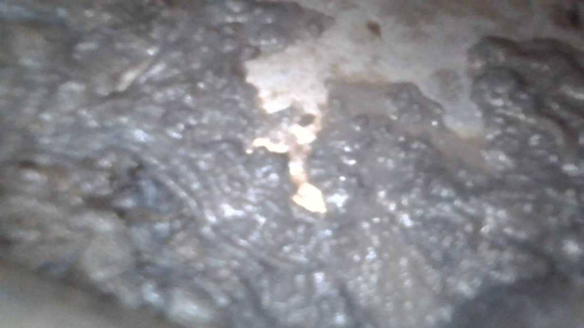 上次清洗令全屋充斥嘔心異味🤢黃小姐一年後再次鼓起勇氣清洗這部Bauknecht前置式洗衣機