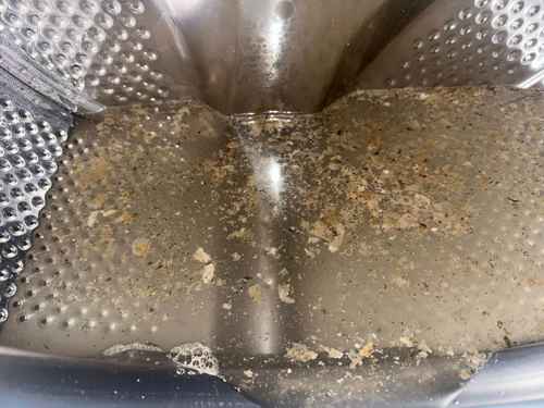 租屋入伙第一課：這部Siemens前置式洗衣機的內部狀況讓李小姐直接推開手機🙈