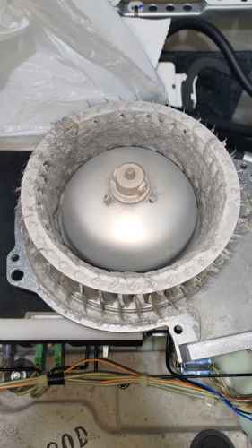 烘乾兩小時衣服仍濕透？這部西門子WD系列洗衣機風道藏了驚人貓毛量 🐱