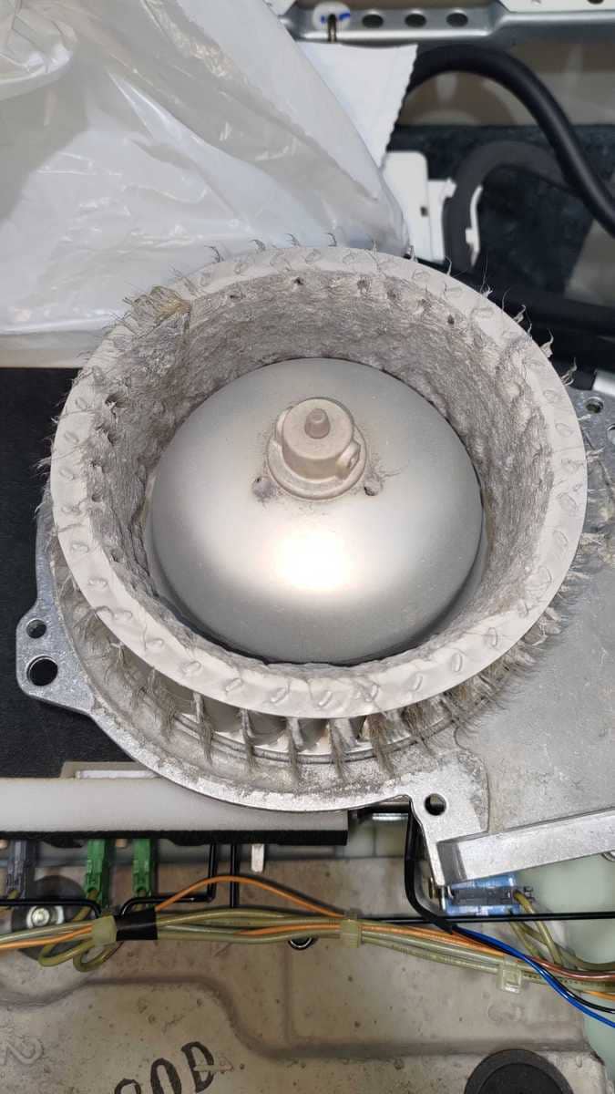 烘乾兩小時衣服仍濕透？這部西門子WD系列洗衣機風道藏了驚人貓毛量 🐱