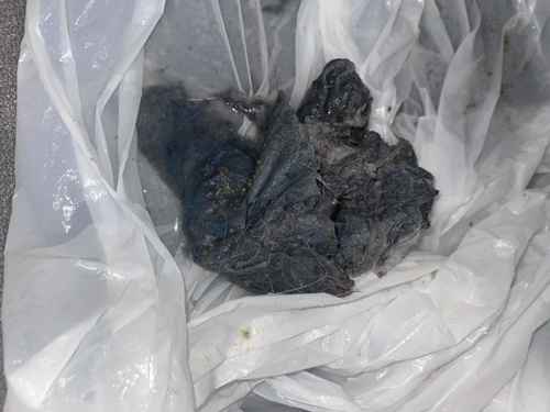 吸色紙用家注意！這部樂聲牌NA系列洗衣機排水堵塞的教訓 ⚠️