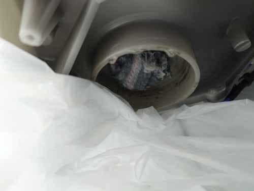 這部惠而浦TDLR系列洗衣機亮起「Clean Pump」燈號排不出水?師傅拆機後發現意外元兇 🧦