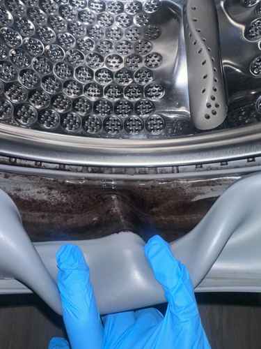 門膠邊霉菌纏繞多時 這部Zanussi前置式洗衣機終於徹底清除🧫