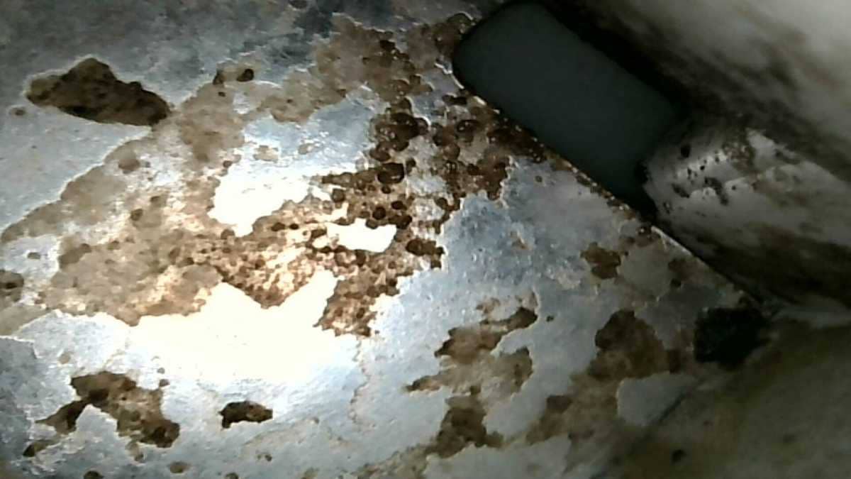 深水埗馮小姐與這部Bauknecht前置式洗衣機的黑色碎屑困擾，清洗專員現場揭開真相 🦠
