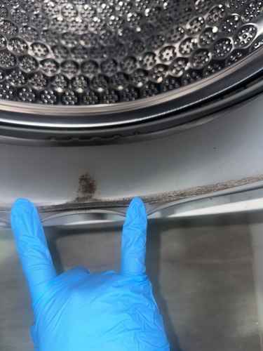 馬鞍山陳小姐的這部伊萊克斯前置式洗衣機，洗後衣物出現黑點才發現藏污🦠